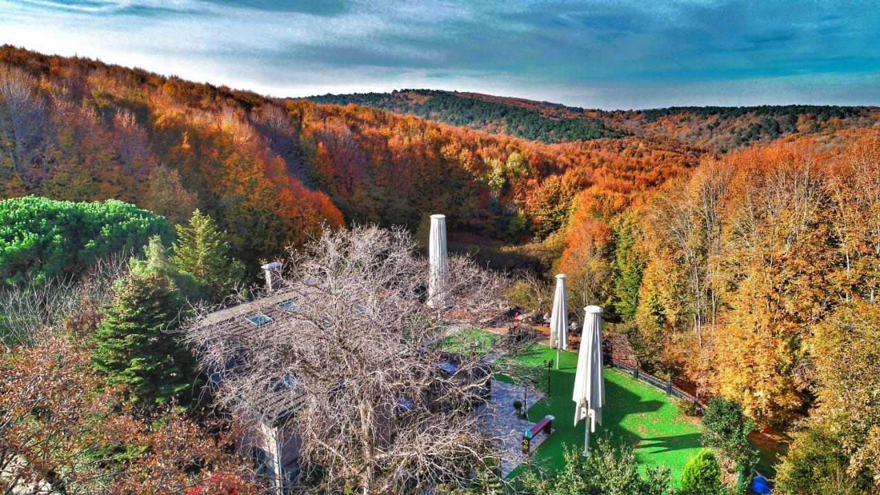 Villa Polonez Istanbul Exteriör bild